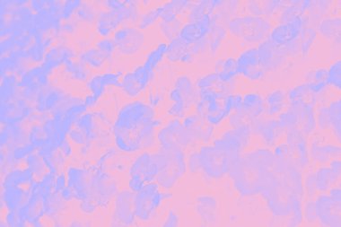 Mor menekşeli pembe suluboya arkaplan çiçekleri deseni