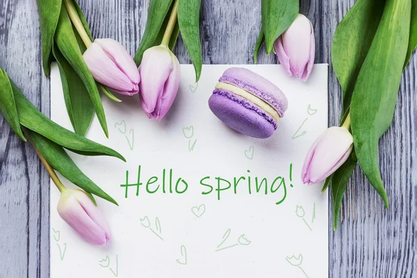 Hola Tarjeta Primavera Primavera Flores Rosas Tulipanes Macaron Violeta Hoja — Foto de Stock