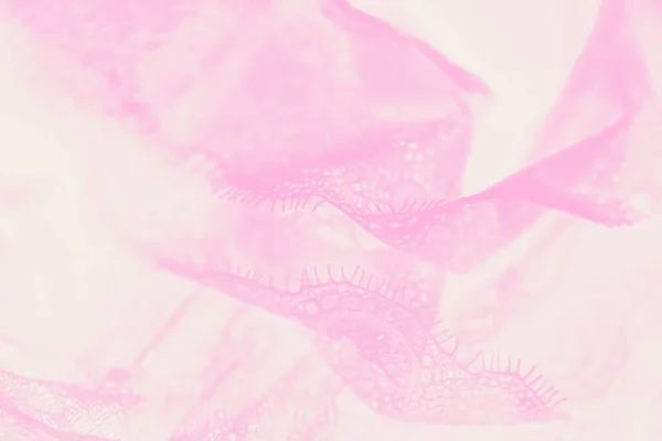 Pastel Delicate Lace Lingerie Light Shading Background Pink Toned — Stock Photo, Image