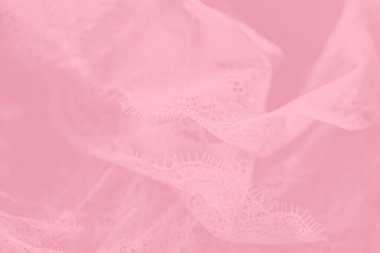 Hassas pastel dantelli iç çamaşırı, gradyan arka plan. Çay gülü rengi