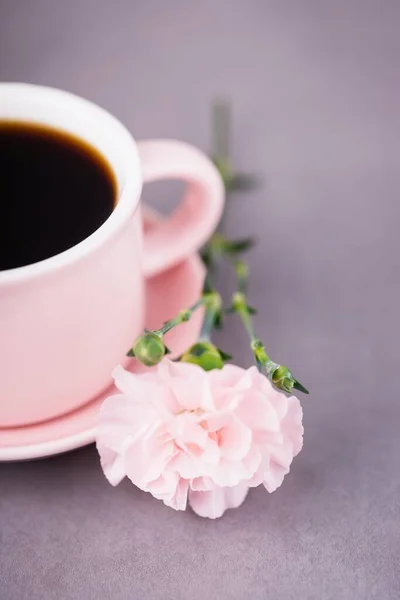 Розовый Чашка Черного Кофе Один Пастельно Розовый Цветок Гвоздики Сером — стоковое фото