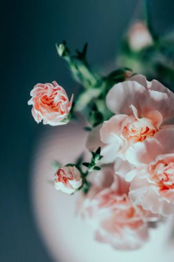 Bir buket pembe karanfil pembe vazoda çiçekler. Üst görünüm, tonlu