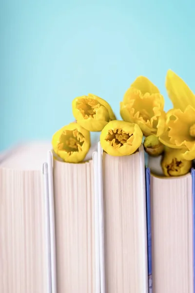 A stack of books with spring yellow daffodils flowers on pale aqua color background, copy space