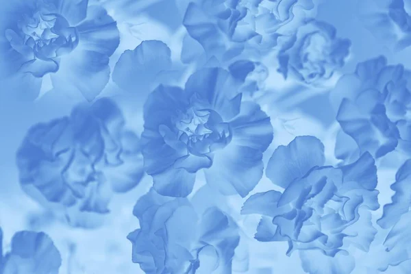 Gradiente Color Azul Clásico Fondo Abstracto Fondo Floral Delicado Patrón — Foto de Stock