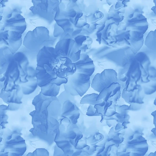 Seamless Flowers Pattern Classic Blue Color Abstract Background Delicate Carnation — Stock Photo, Image