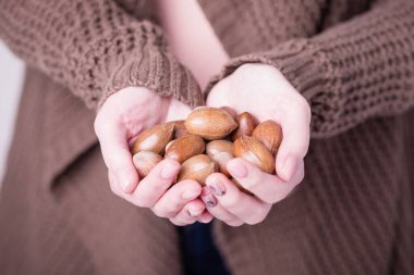 Kahverengi örgü süveter arka planında ceviz tutan kadın elleri.