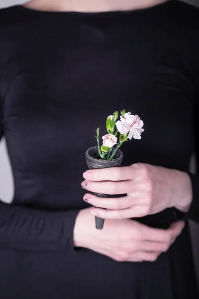 Manos Femeninas Sosteniendo Flores Clavel Rosa Cono Gofre Sobre Fondo — Foto de Stock