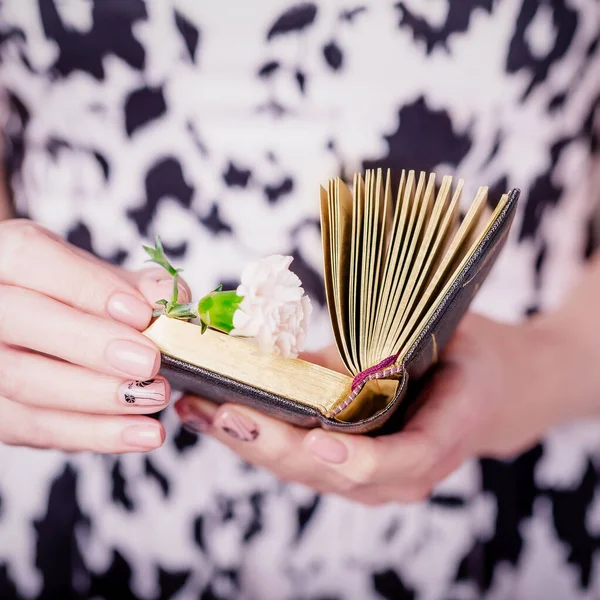 Weibliche Hände Mit Offenem Alten Buch Und Rosa Nelkenblüte Auf — Stockfoto