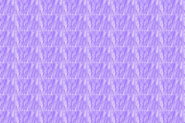 Seamless flowers pattern. Violet purple lavender flower, summer time background