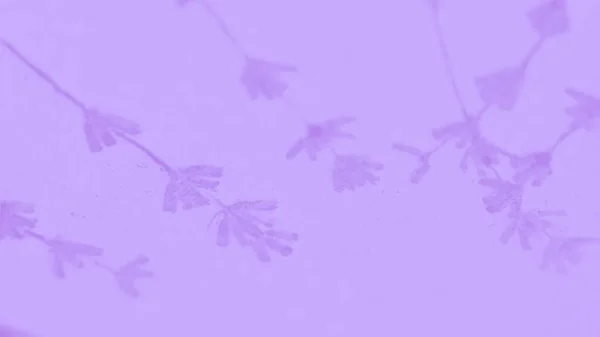 Pale violet purple background with lavender flowers pattern, copy space. 16 on 9 panoramic format
