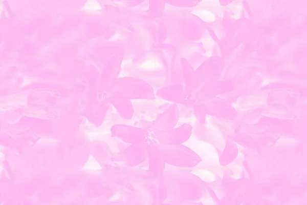 Nahtlose Rosa Hyazinthen Blühen Muster Frühling Hintergrund Getöntes Foto — Stockfoto