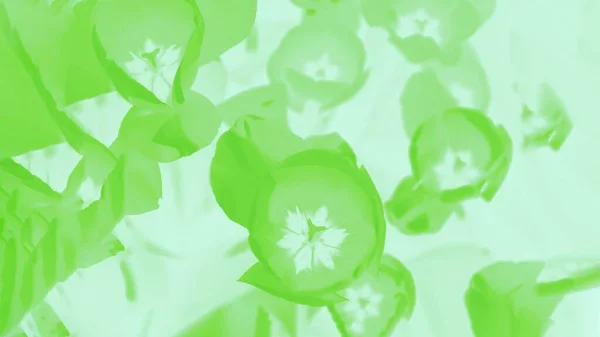 Zelené tulipány květinový vzor na světle zeleném pozadí, 16: 9 panoramatický formát — Stock fotografie