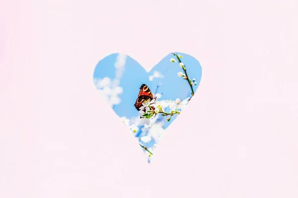 自然愛の概念 春の愛 春の白い花とハート型のオレンジ色の蝶 ピンクのパステル背景 コピースペース — ストック写真