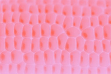 Açık pembe mercan rengi, tahıl desenli soyut arkaplan