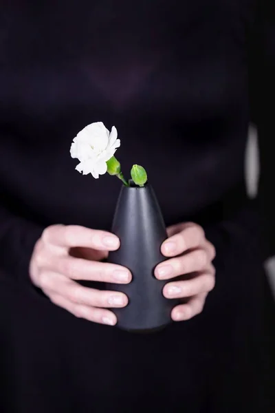 Beautiful Female Hands Holding Black Vase White Carnation Flower Black — Stock Photo, Image