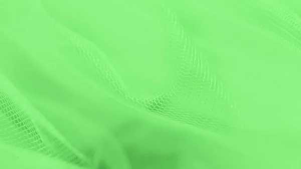 Невелика Сітка Світло Зеленому Тлі Панорамному Форматі — стокове фото
