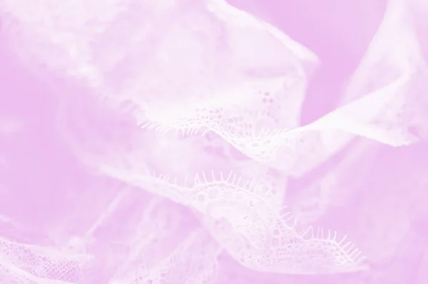 Delicate White Silk Lace Lingerie Pastel Pale Pink Background — Stock Photo, Image