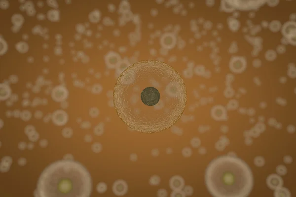 Vetenskaplig illustration av celler divideras med osmos — Stockfoto