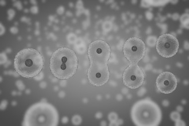 Hücreleri osmoz, hücreleri çarpma bölme