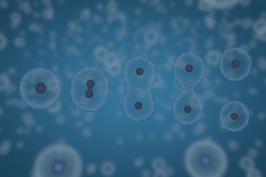 Hücreleri osmoz, hücreleri çarpma bölme