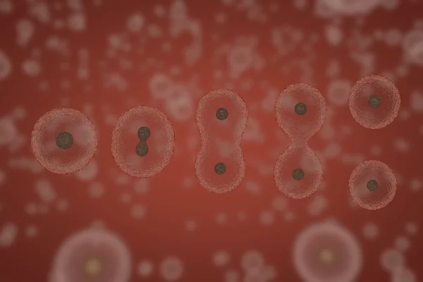 Células dividindo por osmose, multiplicação de células — Fotografia de Stock