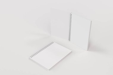 Beyaz arka plan üzerinde iki defter spiral ile bağlı