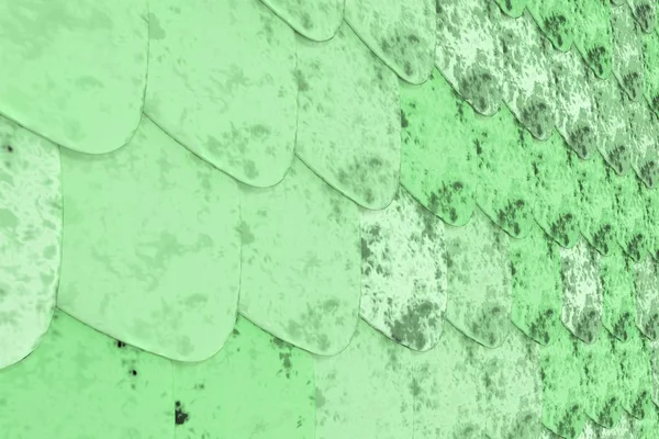 Desen yeşil yuvarlak kiremit