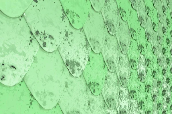 Desen yeşil yuvarlak kiremit