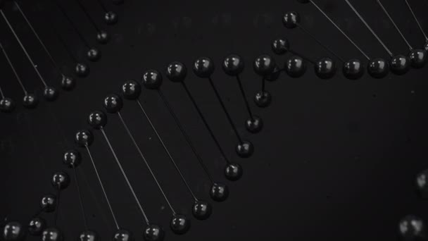 Gloss black model of DNA strand on black background — Stock Video