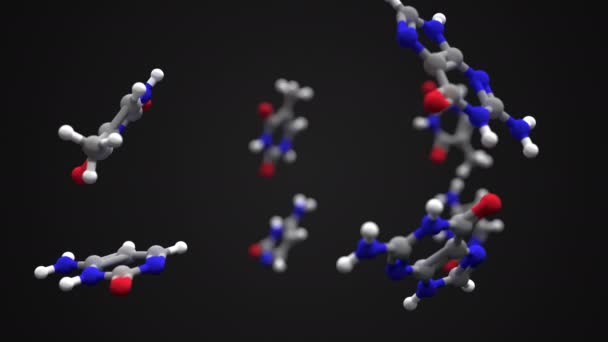 Dna Rna 的核酸中 腺嘌呤 鸟嘌呤 嘧啶和胞嘧啶 渲染插图 — 图库视频影像
