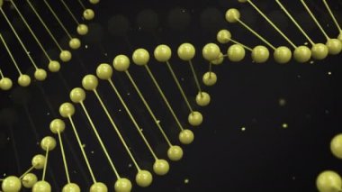 Siyah arka plan üzerine Dna iplikçiğinin parlak sarı modeli. Sarmal Dna sarmalı. 3D render illüstrasyon