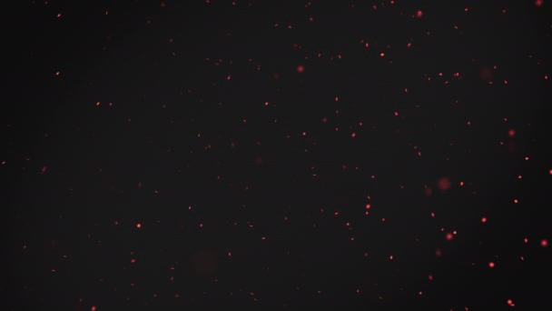 浮遊粒子ボケの赤と抽象的な背景は 空気中のほこり スローモーション — ストック動画