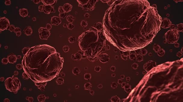 Abstrakcja Czerwony Komórek Wirusa Pod Mikroskopem Mnożenie Się Bakterii Infekcji — Wideo stockowe