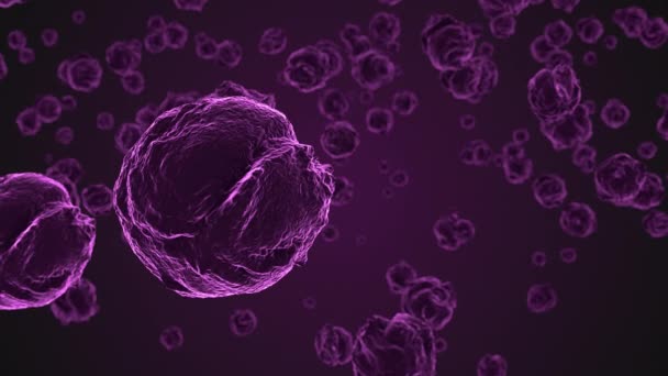 Células Víricas Púrpura Abstractas Bajo Microscopio Multiplicación Bacterias Infecciones Antecedentes — Vídeo de stock