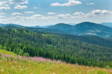 Güzel Dağlar Manzarası 