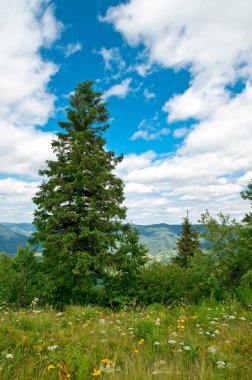 Güzel Dağlar Manzarası 