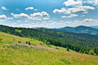 Güzel Dağlar Manzarası 