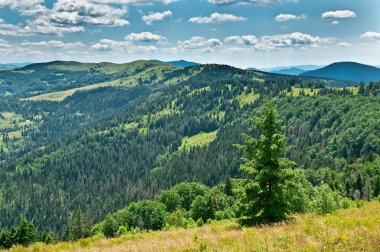 Güzel Dağlar Manzarası 