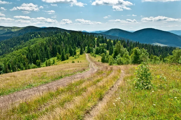 Berglandschaft mit Wanderweg — Stockfoto