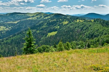 Güzel Dağlar Manzarası 