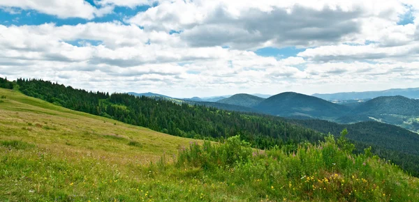 Paisaje de montaña en verano — Foto de Stock