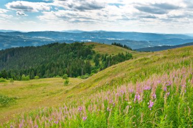 Güzel Dağlar Manzarası 