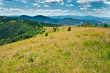 Güzel Dağlar Manzarası 