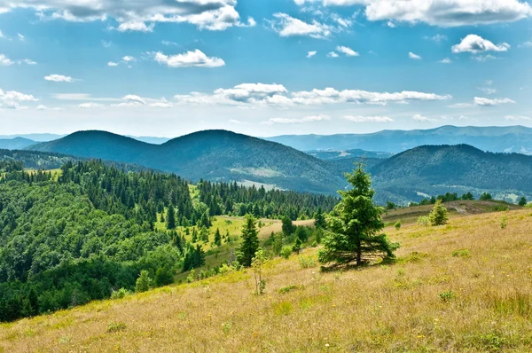 Paisaje de verano en montañas — Foto de Stock