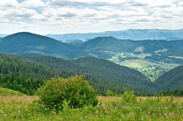 Berglandschaft im Sommer — Stockfoto