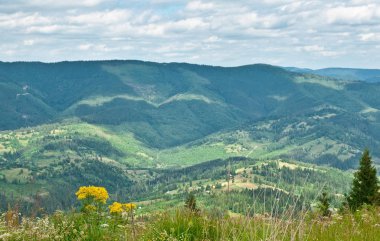 Güzel Dağlar Manzarası 