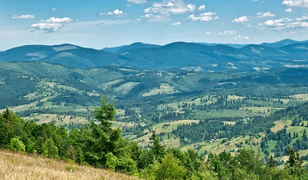 Paisagem de verão nas montanhas — Fotografia de Stock