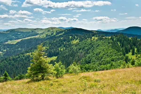 Paisaje de verano en montañas — Foto de Stock