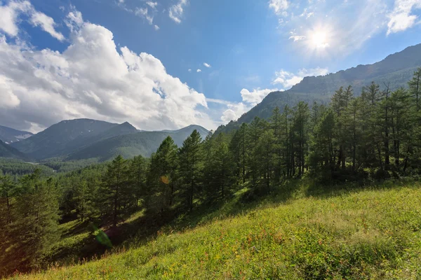 Wolken über Bergen und Bäumen — Stockfoto