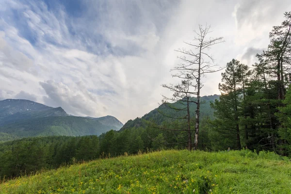 Wolken über Bergen und Bäumen — Stockfoto